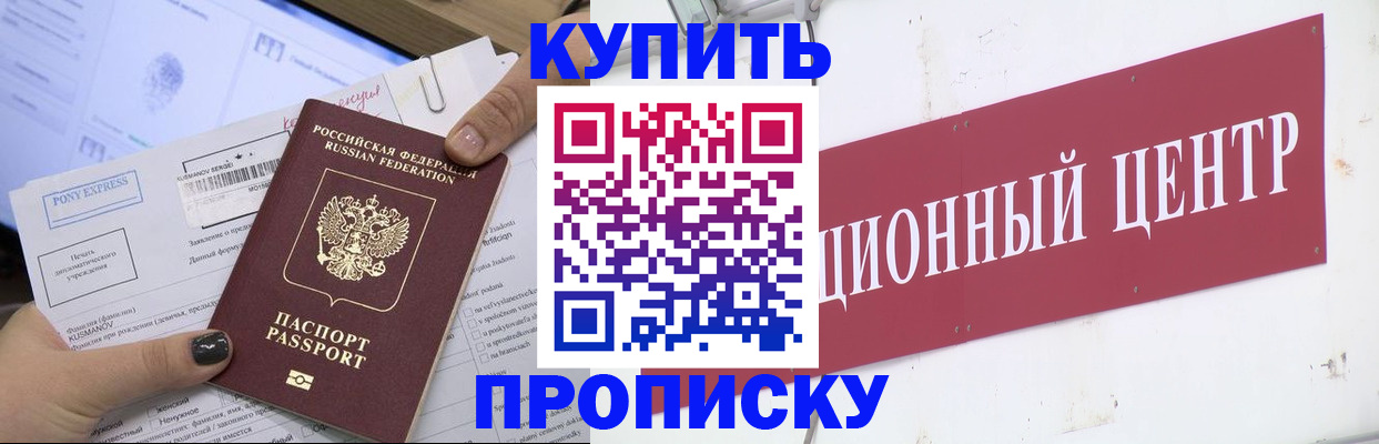 прописка поиск в Новгородской области